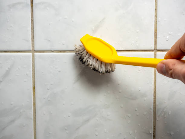 Best Best Mold Removal Companies  in Gleason, TN