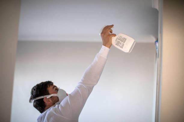 Best Mold Damage Repair  in Gleason, TN