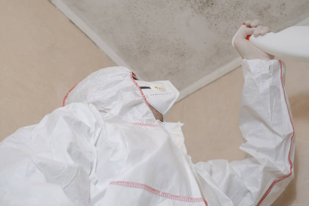 Water Damage Restoration in Gleason, TN