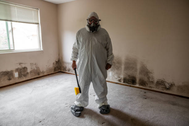 Certified Mold Removal in Gleason, TN